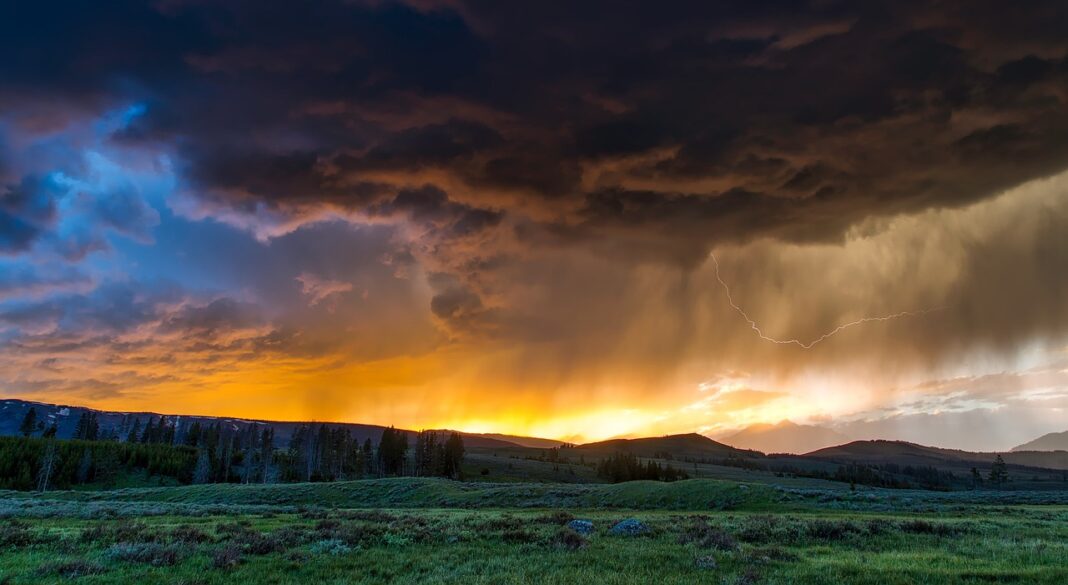 fields-1589613_1280