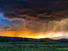 Jak USA zarabiają: Eksport, import i bilans handlowy