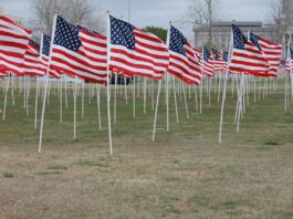Czym są „food stamps” i kto z nich korzysta?