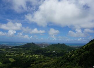 Czy Amerykanie świętują Nowy Rok tak jak Europejczycy?