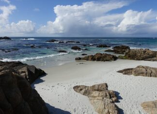 Park Narodowy Great Smoky Mountains: Skarbiec Amerykańskiej Przyrody