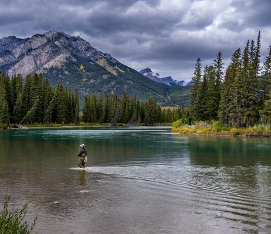 Dlaczego flaga USA ma 13 pasków?