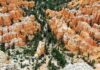 Park Yellowstone – najciekawsze drogi i punkty widokowe
