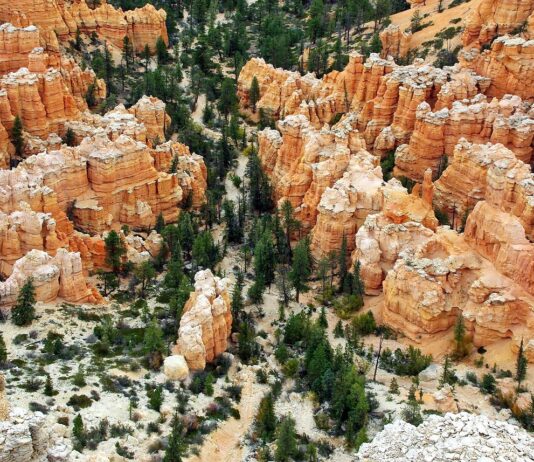 Sport szkolny jako droga do kariery