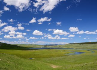 Subsydia rządowe – komu i za co USA płacą najwięcej?