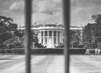 Tulane University: Perła Nowego Orleanu wśród Amerykańskich Uczelni Wyższych