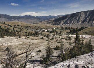 10 prezydentów USA, o których mało się mówi