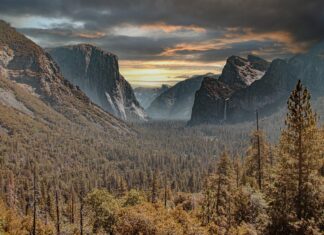 Jakie są najnowsze trendy technologiczne w USA?