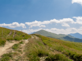 Letni szlak przez zielone górskie łąki z panoramą wysokich szczytów