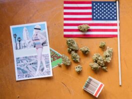Nietypowe przepisy w USA: najdziwniejsze zakazy z amerykańskich stanów Nietypowe przepisy w USA: najdziwniejsze zakazy z amerykańskich stanów