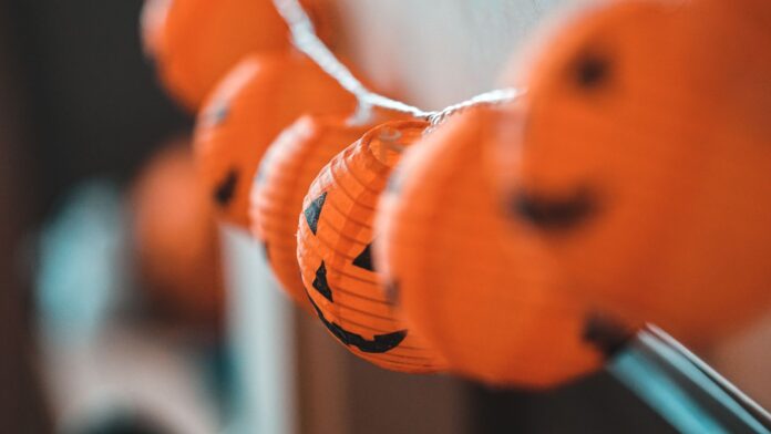Zbliżenie na pomarańczowe dynie Halloween z lampionami Zbliżenie na pomarańczowe dynie Halloween z lampionami